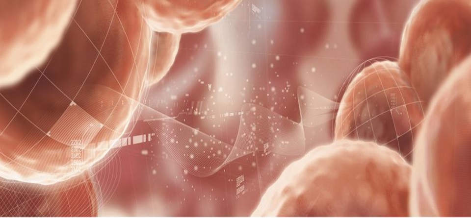 Endermologie