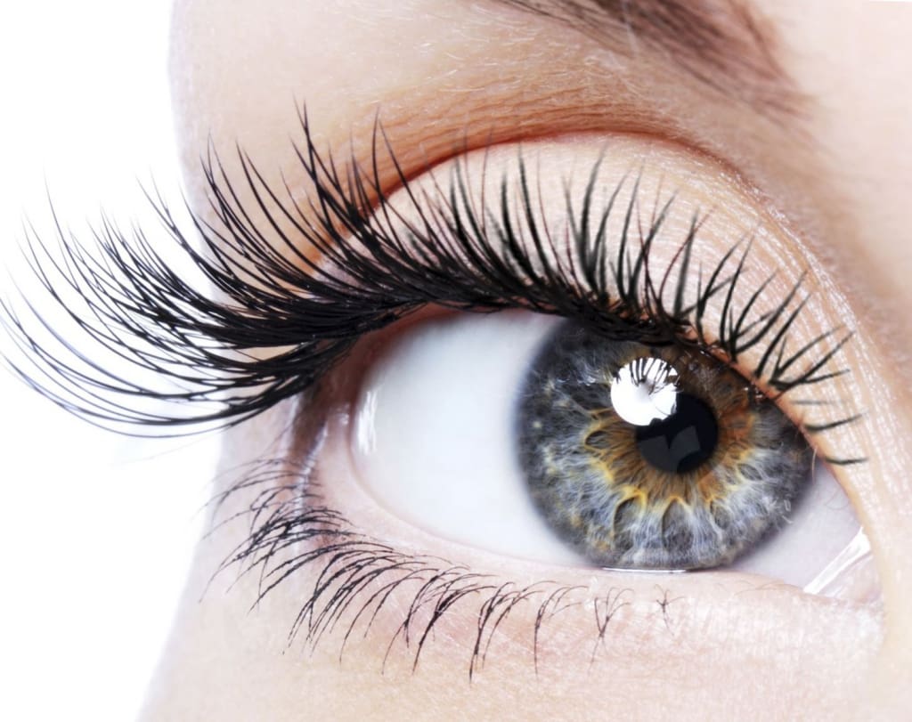 EXTRA VOLUME eyelash extensions 3D–12D