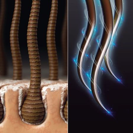 Speed up hair growth